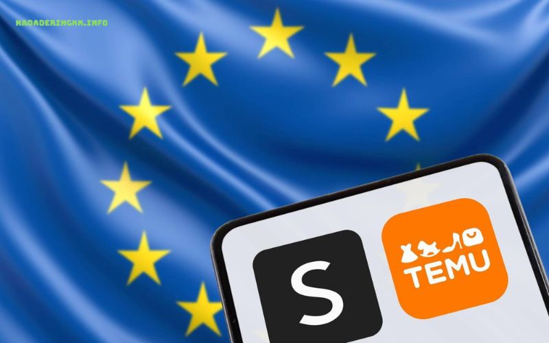 Temu France pourquoi ces prix si bas la vérité 2026