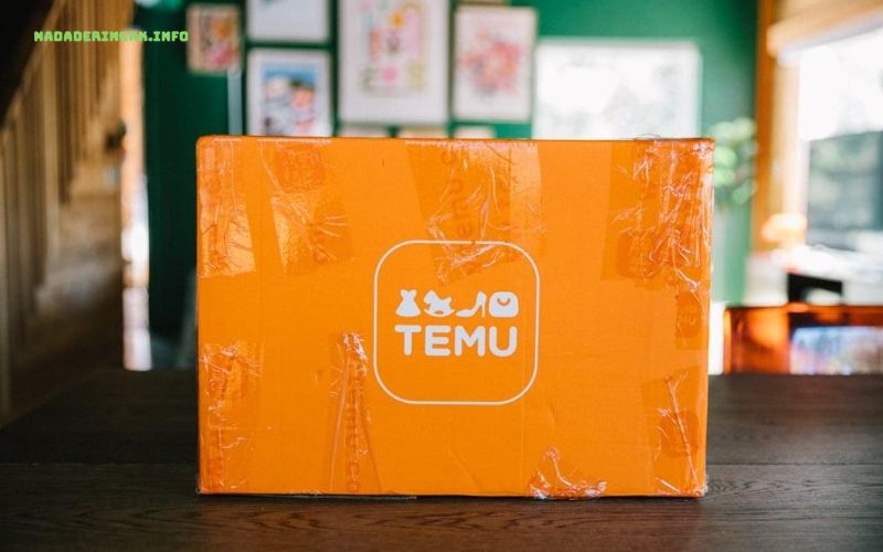 Đánh giá Temu: đáng tin cậy hay lừa đảo?