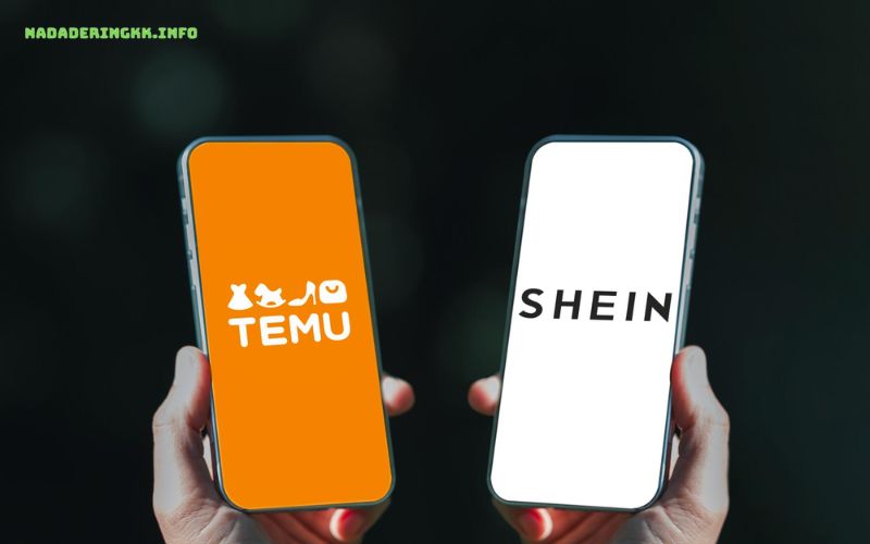 Temu vs Shein lequel choisir en 2026