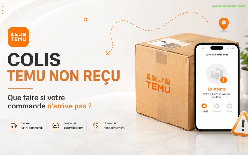 Colis Temu non reçu que faire pour être remboursé