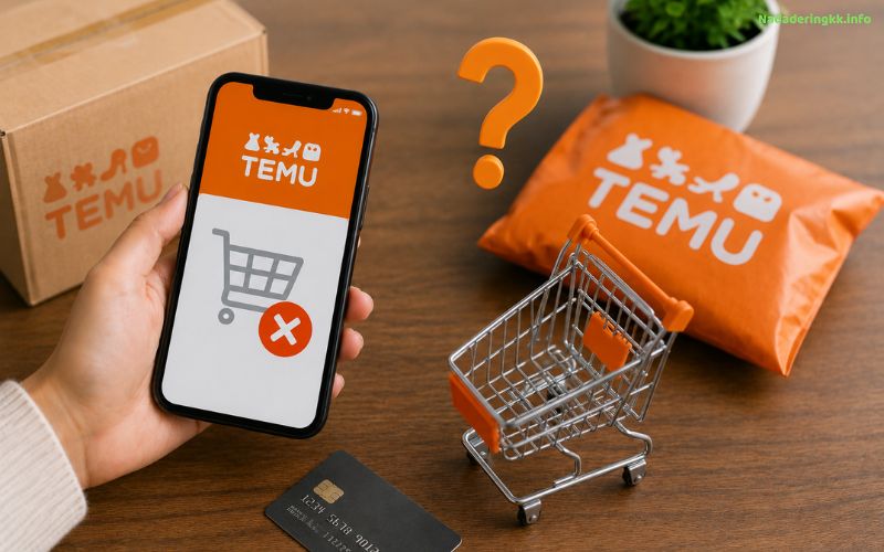 Commande Temu disparue que faire si votre commande n’apparaît plus