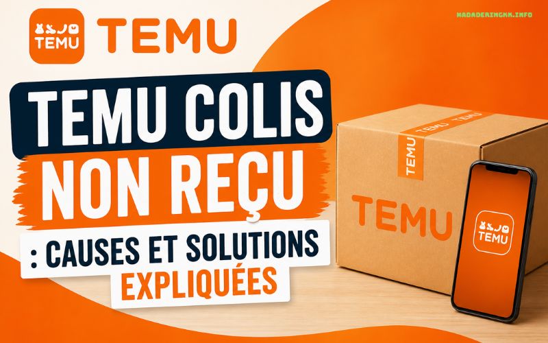Temu Colis Non Reçu Les Vraies Causes Et Comment Réagir 2026