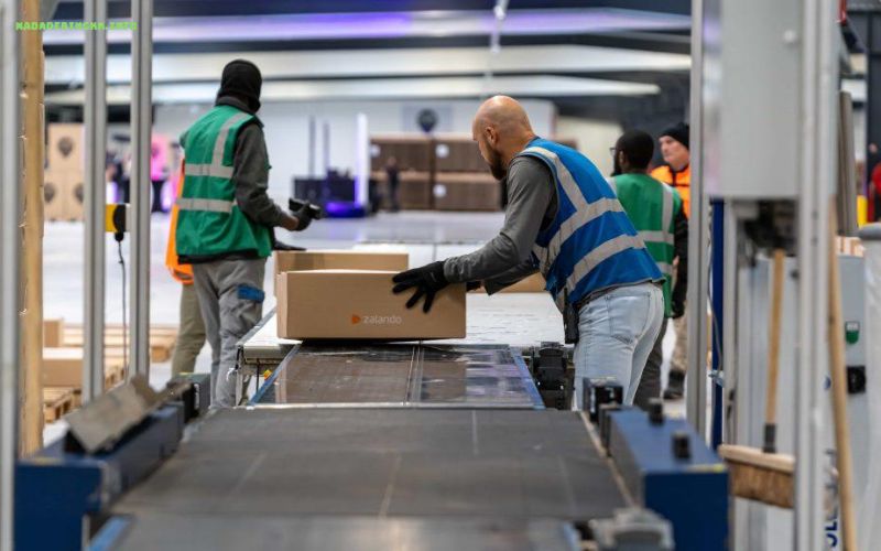 Temu livraison France tout savoir sur les délais et le suivi