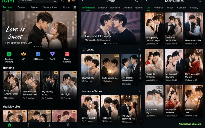 iQIYI Des Milliers d’Heures de Streaming à Découvrir